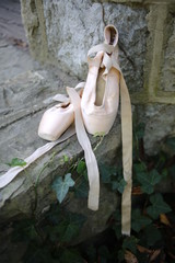 Pink Satin Ballet Pointe Shoes on Limestone Wall with English Ivy in the Fall