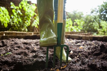 Poster - Low section of woman standing with gardening fork on dirt