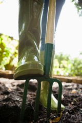 Wall Mural - Close-up low section of woman standing with gardening fork on