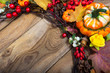 Fall background with decorative pumpkin, yellow rose and red berries
