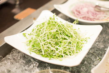 Sprouts on white dish set on ice in buffet line.