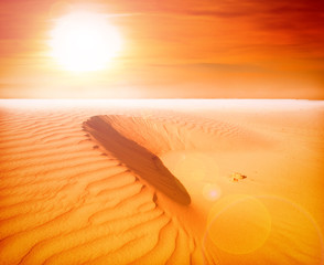 Poster - sand desert landscape