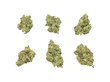 Marijuana Cannabis Buds HDR Isolated On White Background
