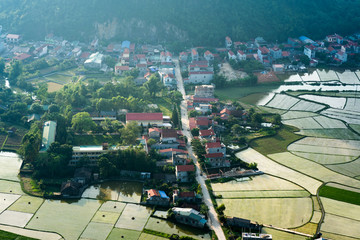 rice field in bac son valley in vietnam