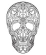Contour black and white illustration of a sugar skull. The holiday of the Day of the Dead. Vector element for your creativity