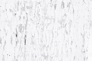 Wooden background. Black and white texture