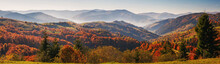 Colorful And Bright Autumn Forest, Mountains Panorama
