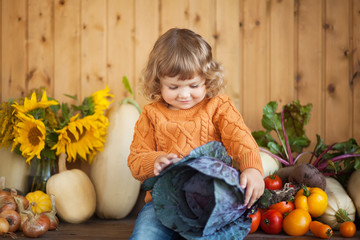 Wall Mural - Adorable smiling toddler girl with red cabbage and autumn harvest.