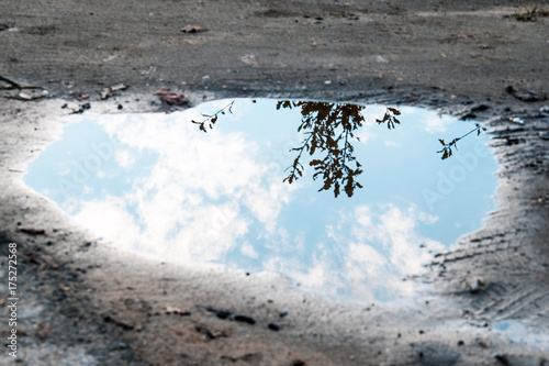 Cuadros en Lienzo water puddle on the ground background