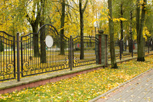 Autumn City Park. Trees With Yellow Leaves. Selective Focus. Horizontal.