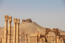 The Ruins Of The Ancient City Palmyra, Syria