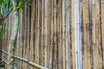 Sticker - Bamboo fence background