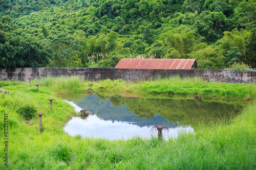 Fotografie, Obraz Bears Open-air Cage with Pond Surrounded by Wall in Park