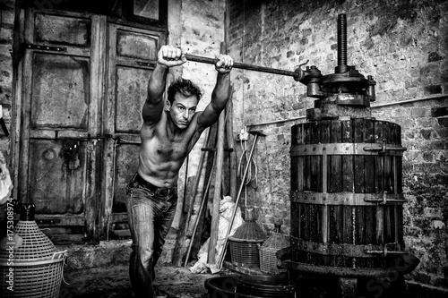 Cuadros en Lienzo Shirtless winemaker farmer working on a traditional wine press