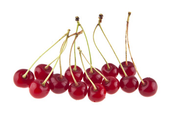 Red cherry isolated on white background