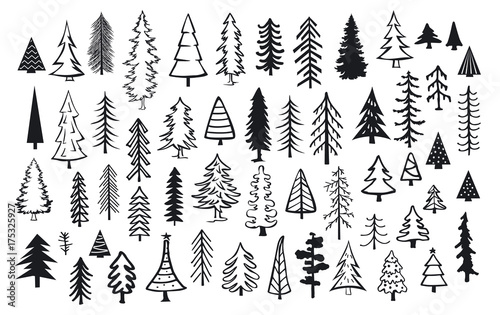Fotomural cute abstract conifer pine fir christmas needle trees collection