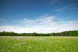 canvas print picture - Green meadow and blue sky with forest