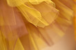 Golden yellow and brown tulle