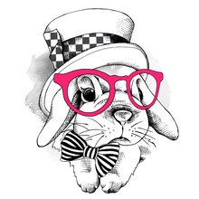 Small Rabbit In A Pink Glasses With Top Hat. Vector Illustration.