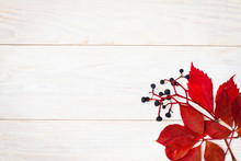 Autumn  Leaves Over White Wooden Background With Copy Space.