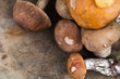  Fresh mushrooms on the wood.