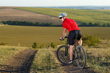 Wall Mural - mountain bike sport athlete man riding outdoor