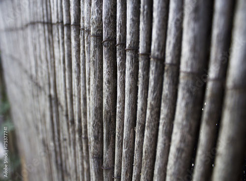 bamboo texture background