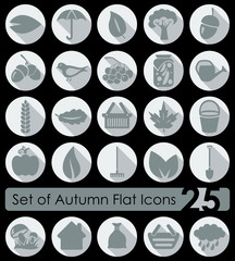 Wall Mural - Set of autumn icons