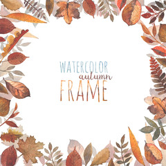 A frame of different kinds of autumn leaves painted in watercolor.