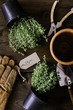 © pixelstories/Stocksy - Repotting thyme herb at home