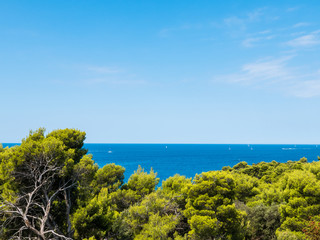 Wall Mural - Adriatic sea