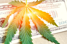 Marijuana Sheet For One Hundred US Dollars. Money With Marijuana Leaves Close. Cannabis With Money. Marijuana Goes To The Stack Of Dollar Bills. Money With Marijuana Leaf Close Up High Quality
