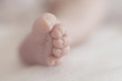 © Emoke/Stocksy - Close up of newborn baby's feet in a white blanket
