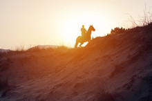 Silhouette Man Riding Horse