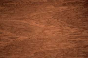 the texture of the oak. oak veneer.