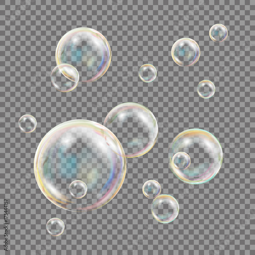 Cuadros en Lienzo Transparent Soap Bubbles Vector