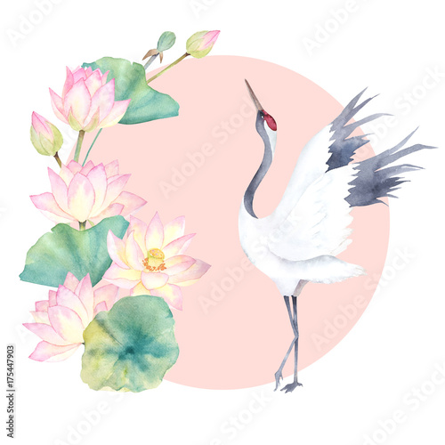 Fototapety żurawie  akwarela-zurawia-z-kwiatem-lotosu-japonski-projekt-recznie-rysowane-ilustracja