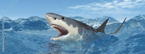 Zdjęcie XXL Wielki biały rekin w wzburzonym morzu
