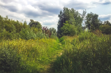 Dutch Nature in Amsterdam, the Netherlands