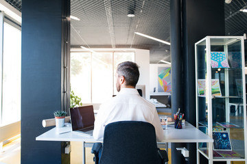 Wall Mural - Businessman at the desk with laptop in his office.