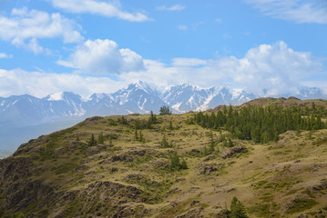 Naklejka na meble Beautiful view of altay meadows at the foot of mountains. Beauty world
