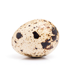 Wall Mural - One quail egg close up isolated on a white background