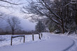 A Snowy, Winding road in Smoky Mtn Nat'l Park's Cades Cove
