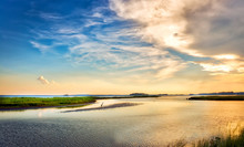 Great Blue Heron Enjoying A Golden Chesapeake Bay Sunset