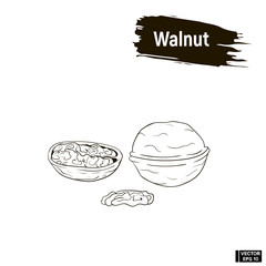 Wall Mural - Outline image of walnut ink