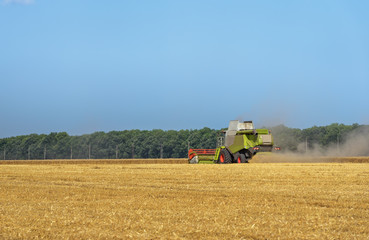 Aufkleber - Combine harvester in action on wheat field.