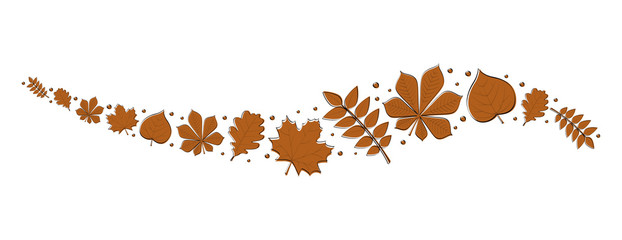 Wall Mural - banner with hand drawn leaves isolated on white background. vector.