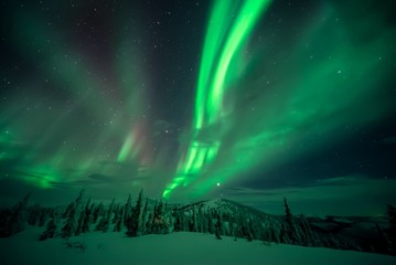 aurora borealis over snow-covered landscape in alaska