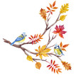 Watercolor fall tree branch