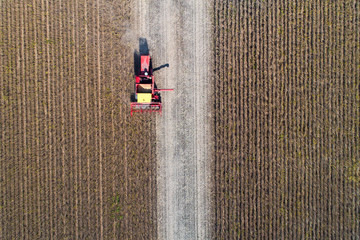 Wall Mural - Soybean harvest shoot from drone